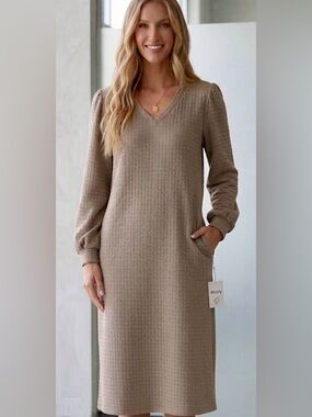 Taupe V-Neck Long Sleeve Dress